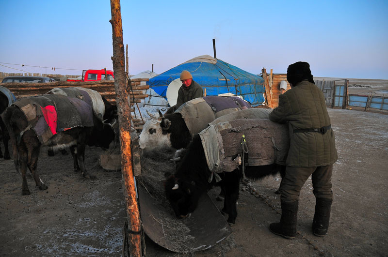 Mongolia